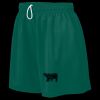 Ladies Wicking Mesh Shorts Thumbnail